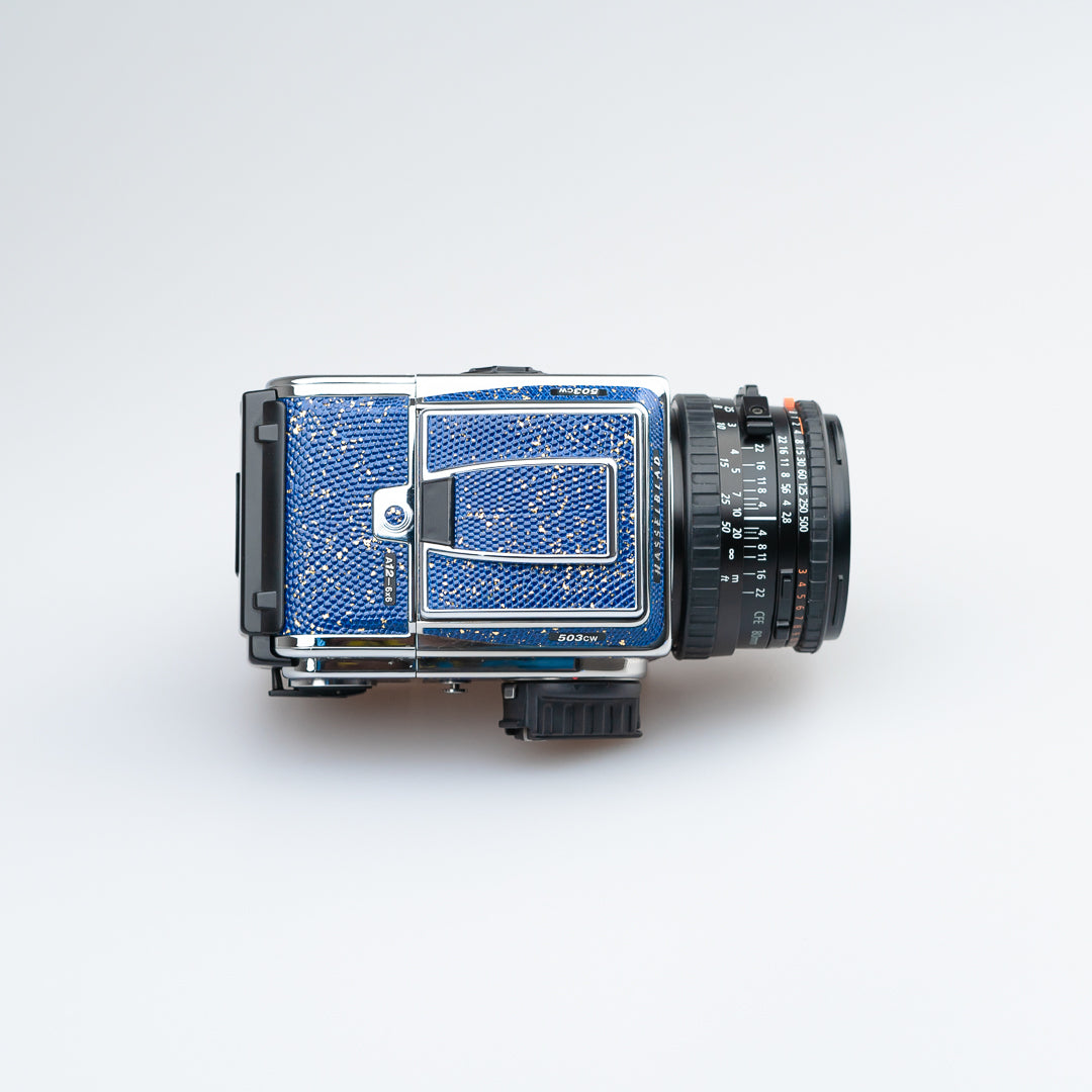 Golden Blue Lizard Leather（503cw）