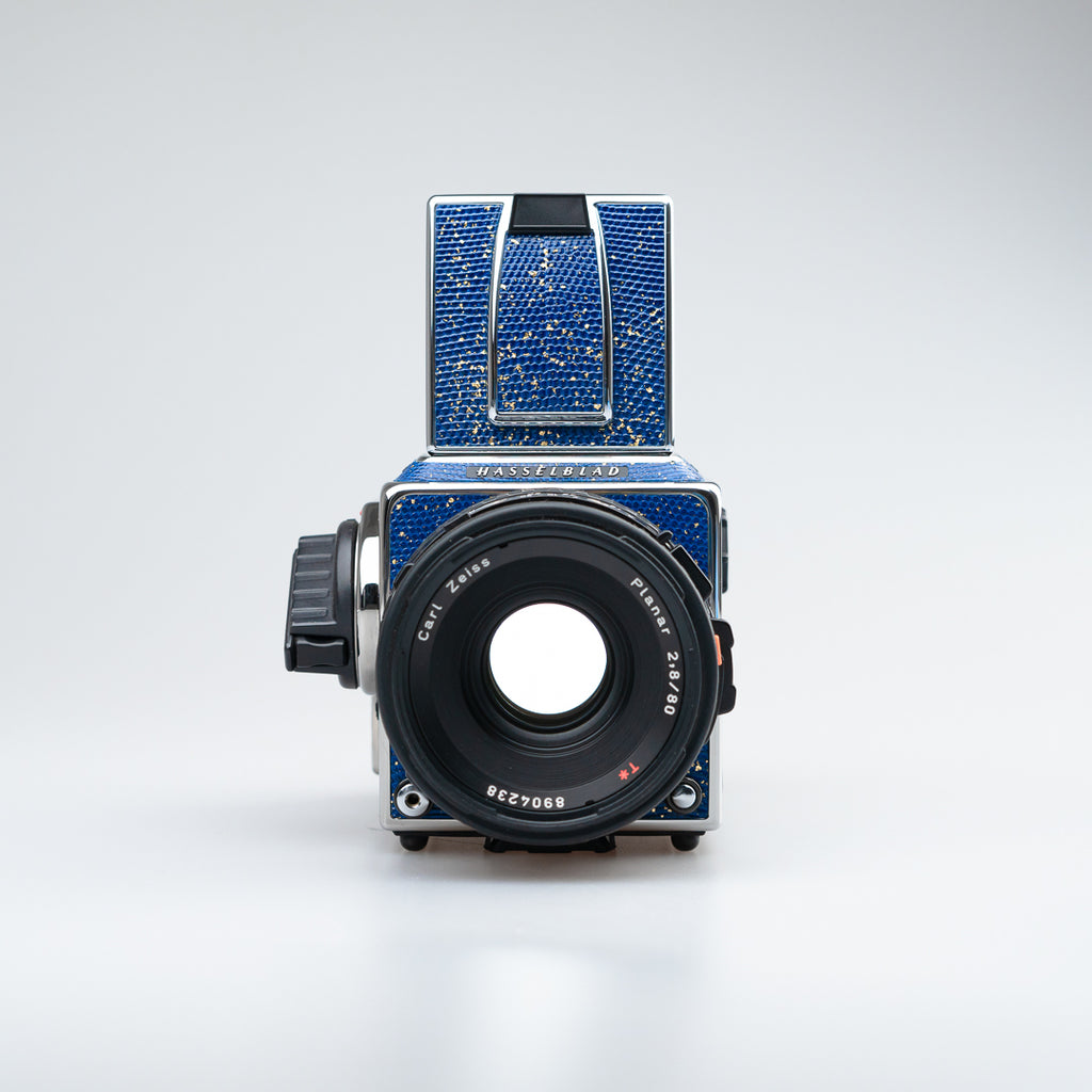 Golden Blue Lizard Leather（503cw）