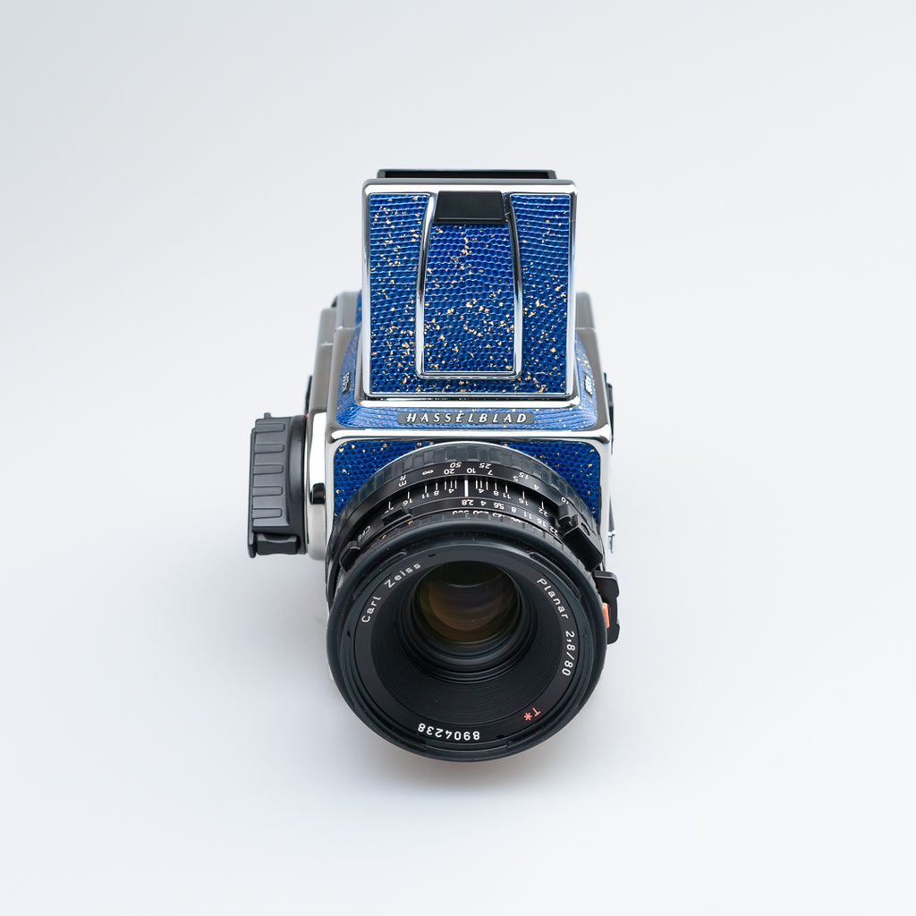 Golden Blue Lizard Leather（503cw）