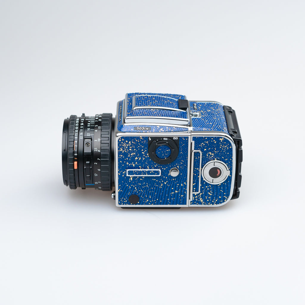 Golden Blue Lizard Leather（503cw）