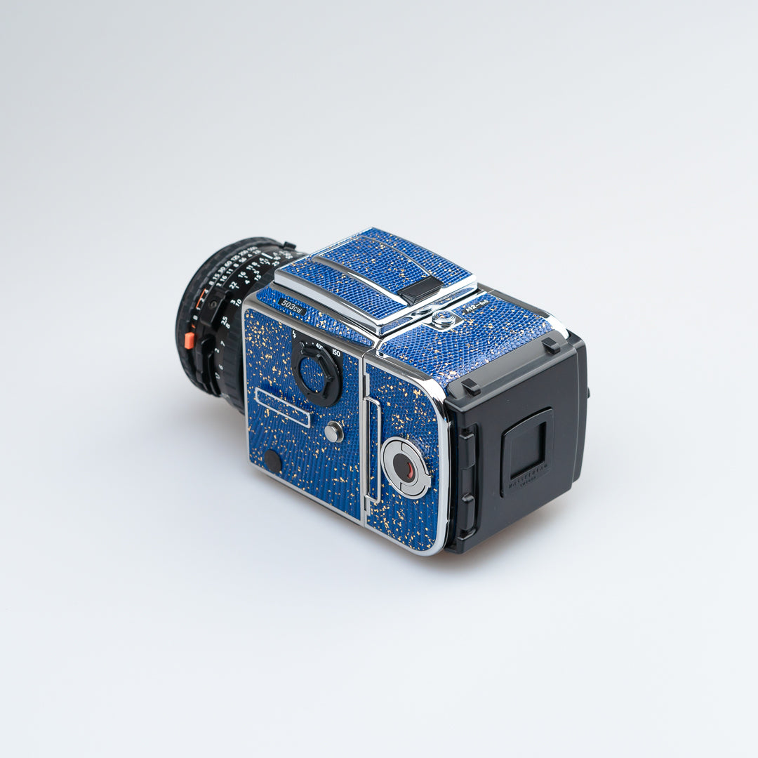 Golden Blue Lizard Leather（503cw）