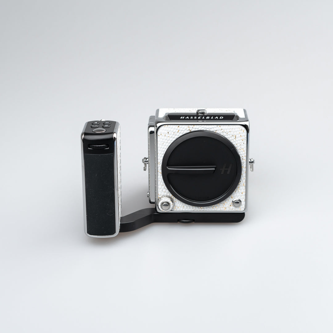 Golden White Lizard Leather（907X CFV 100c）