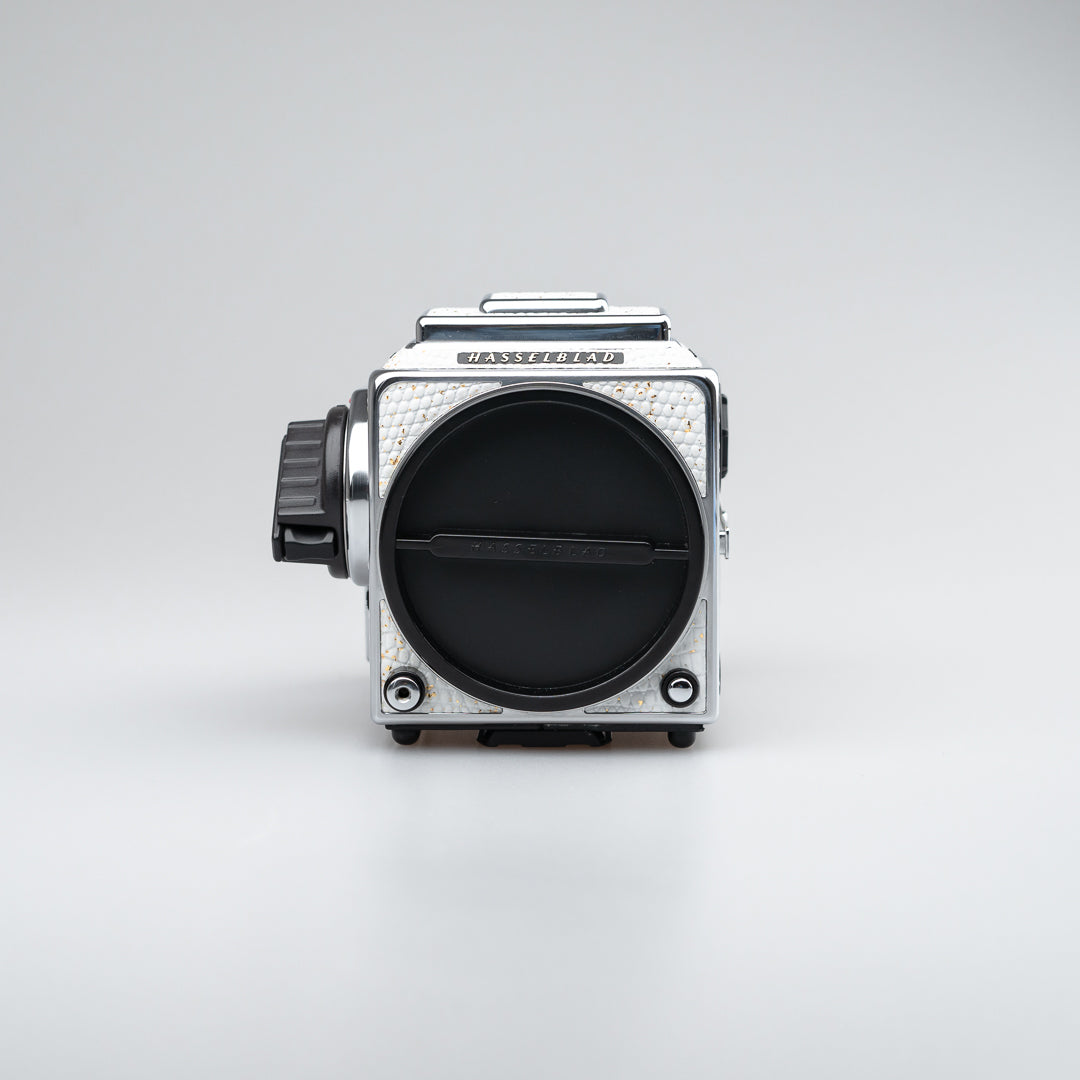 Golden White Lizard Leather（503cw）