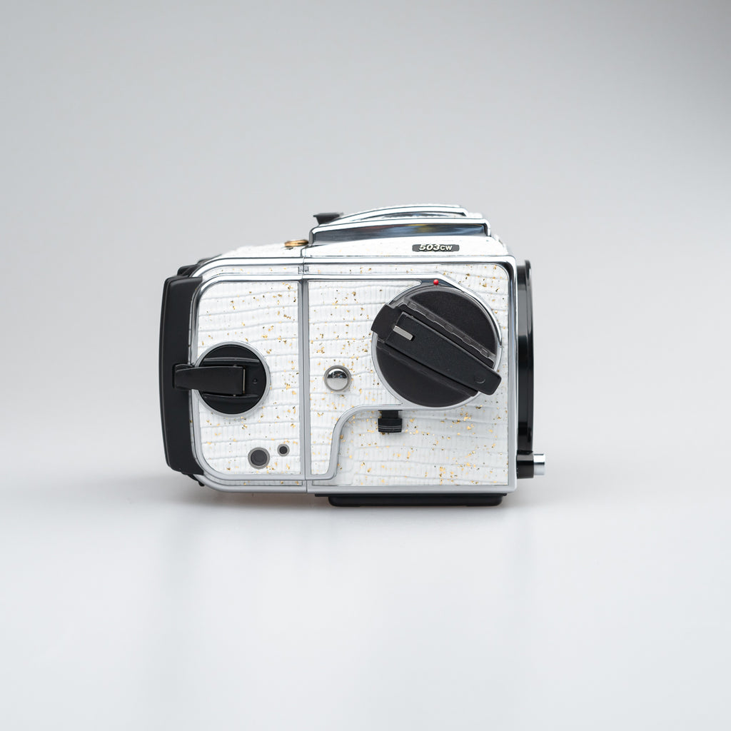 Golden White Lizard Leather（503cw）