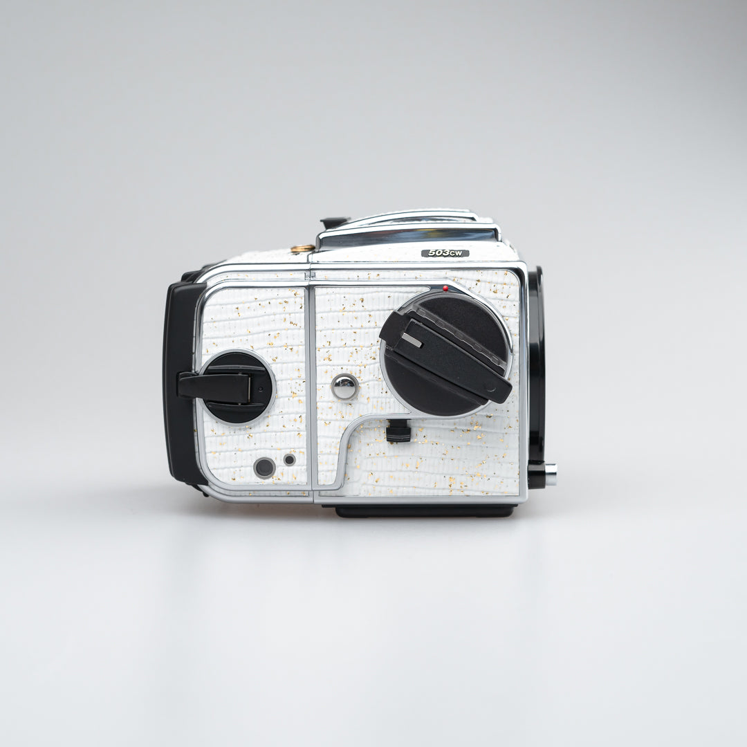 Golden White Lizard Leather（503cw）