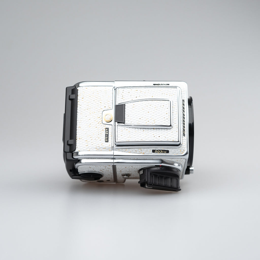 Golden White Lizard Leather（503cw）