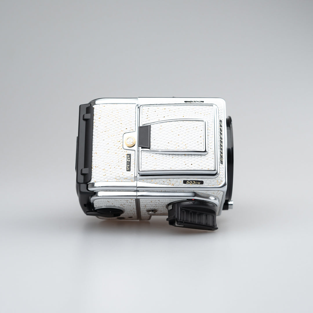 Golden White Lizard Leather（503cw）