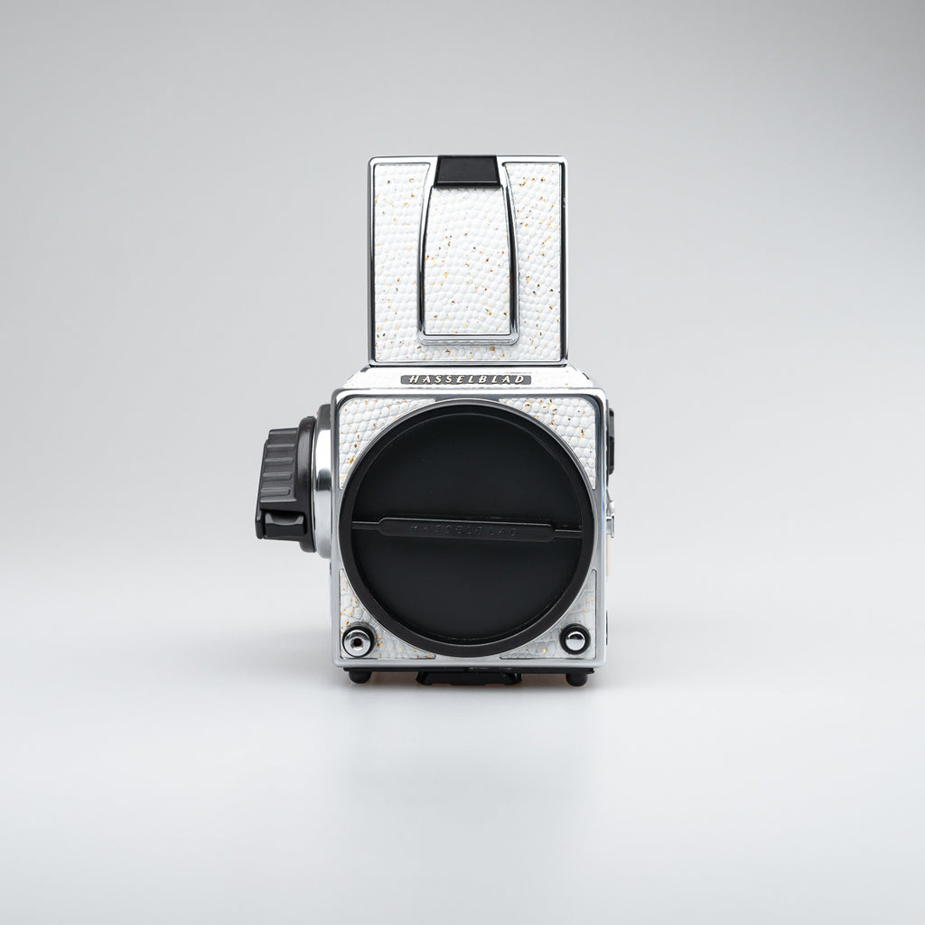 Golden White Lizard Leather（503cw）