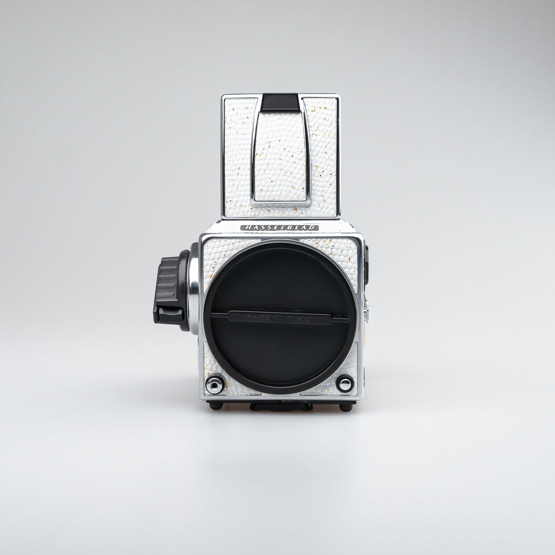 Golden White Lizard Leather（503cw）