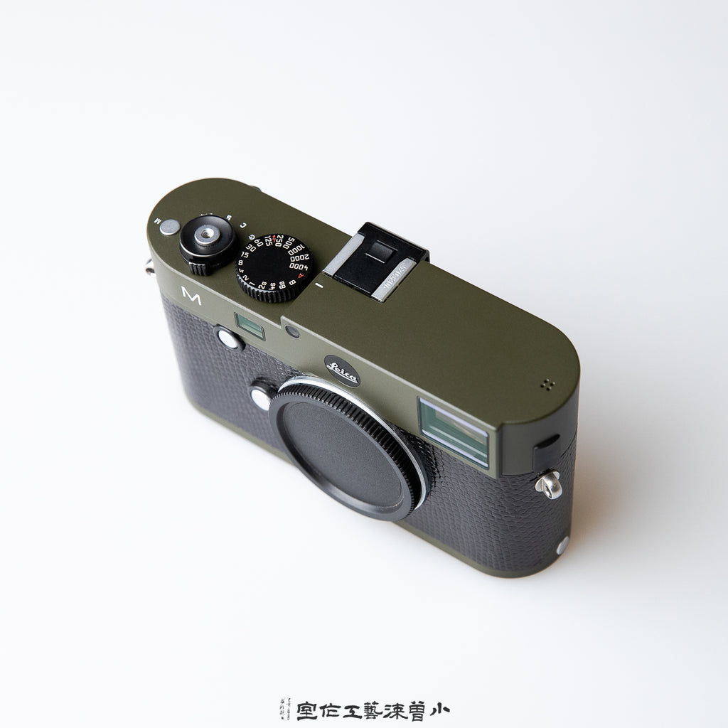 Safari Lizard Skin(M240)