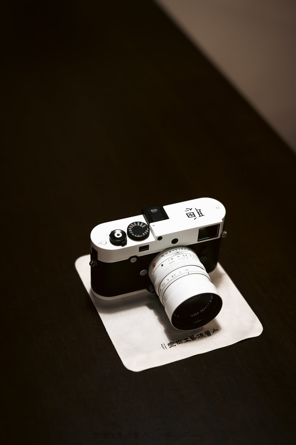 Panda color scheme / Black and white Repaint / customized engraving