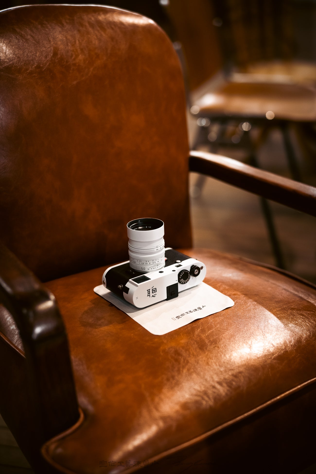 Panda color scheme / Black and white Repaint / customized engraving