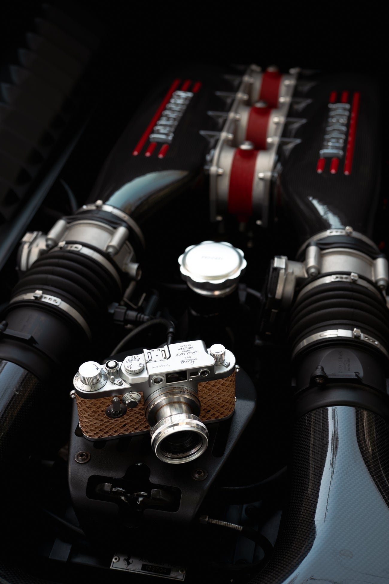 IIIG Special water dyed sand colored snake skin