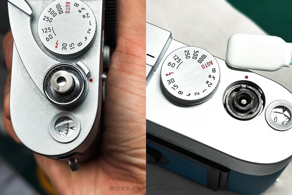 Blue French Sheepskin