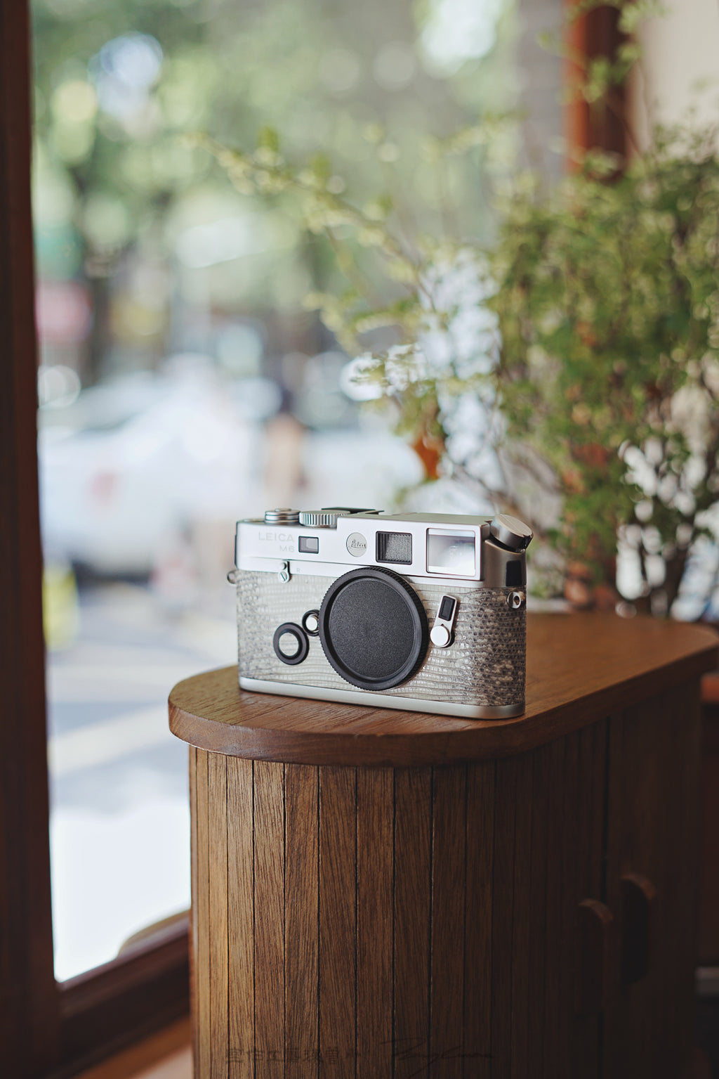 M6 Leather Art Customization