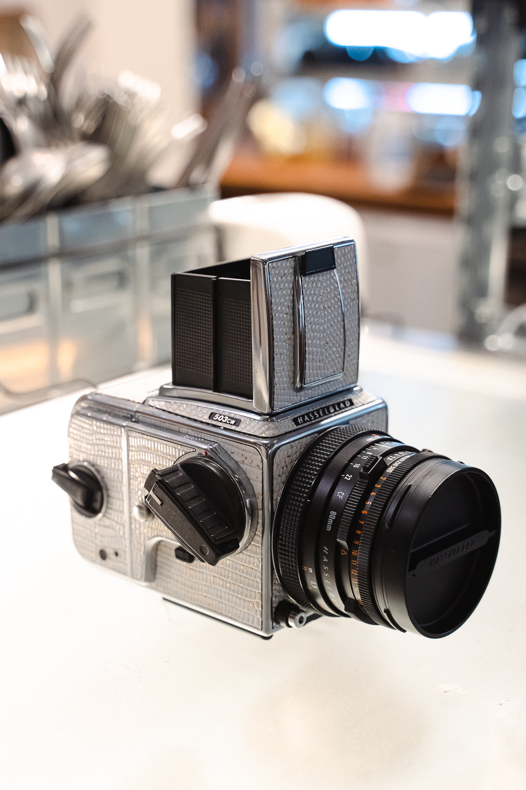 503CW Leather art replacement with gold sprinkled lizard skin material/White