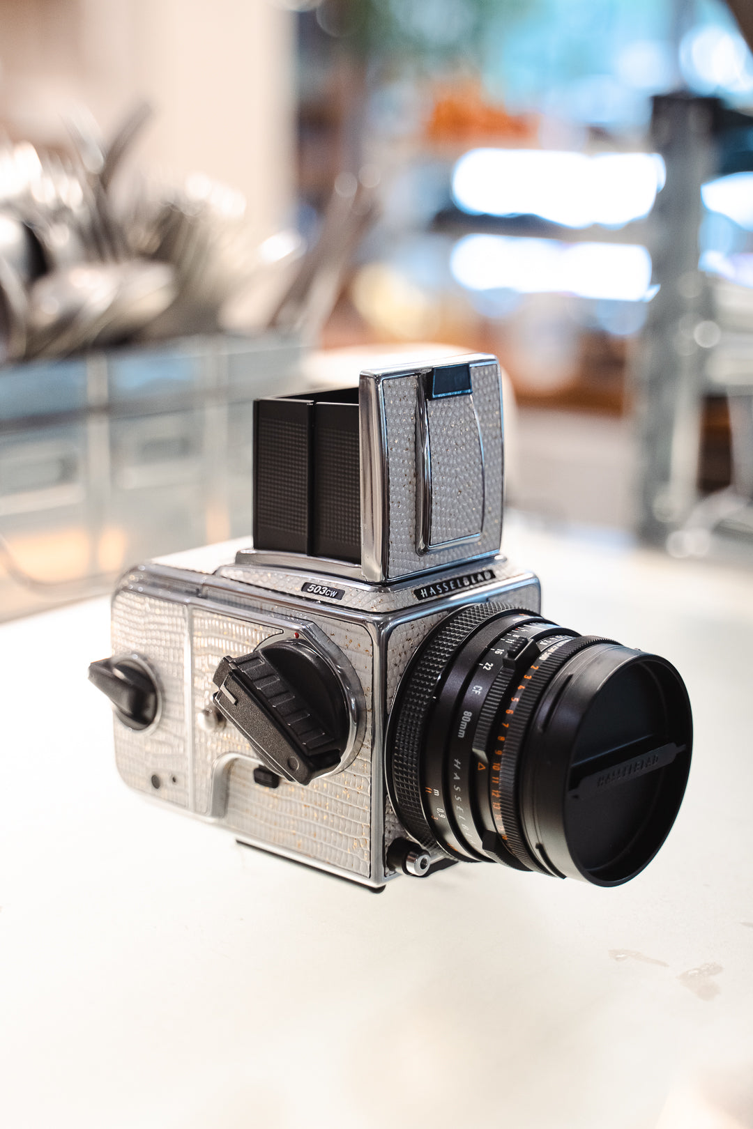 503CW Leather art replacement with gold sprinkled lizard skin material/White