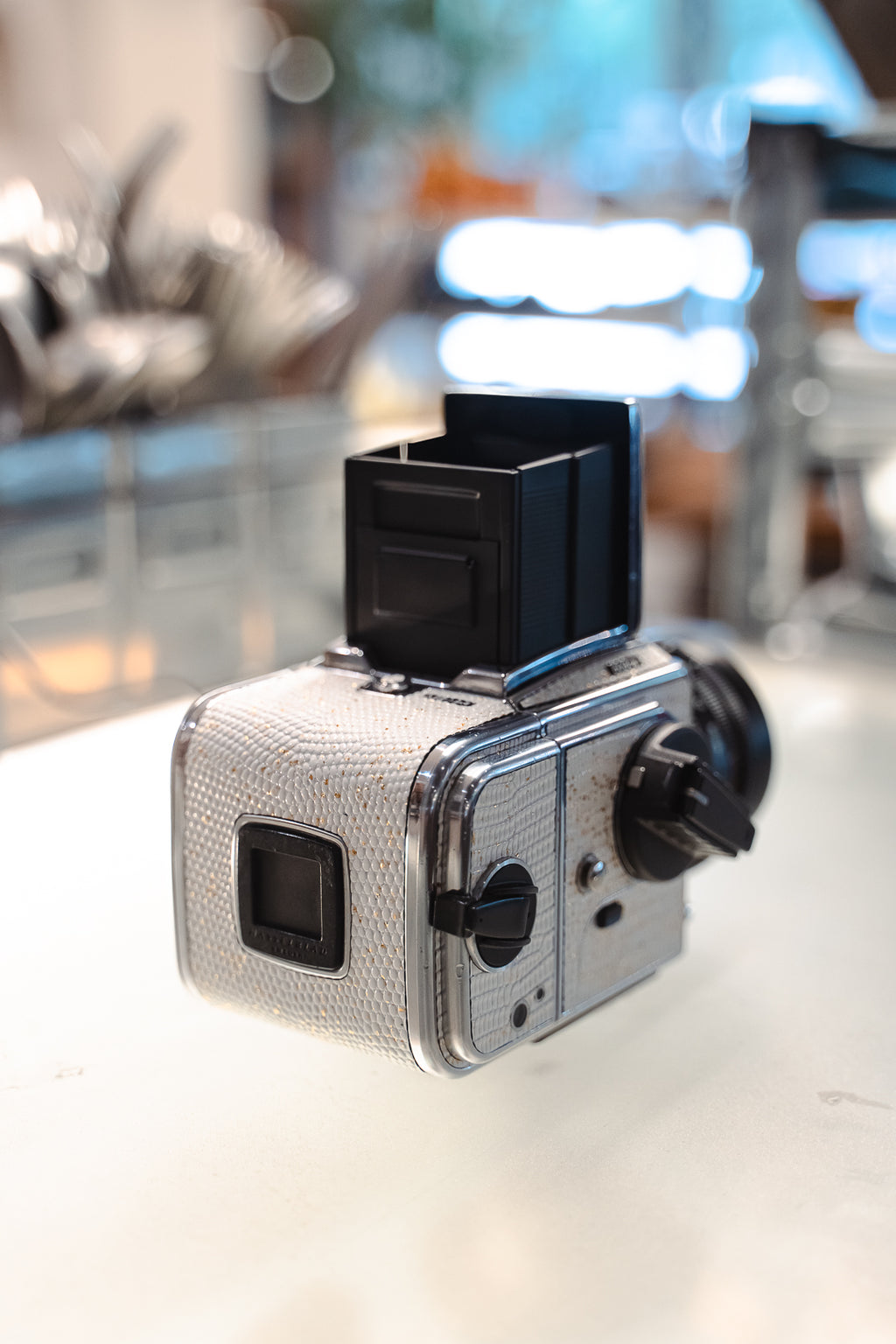 503CW Leather art replacement with gold sprinkled lizard skin material/White