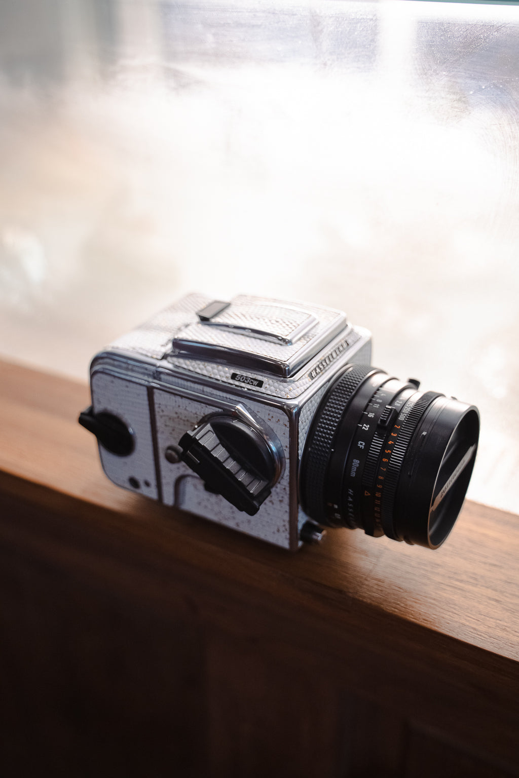 503CW Leather art replacement with gold sprinkled lizard skin material/White