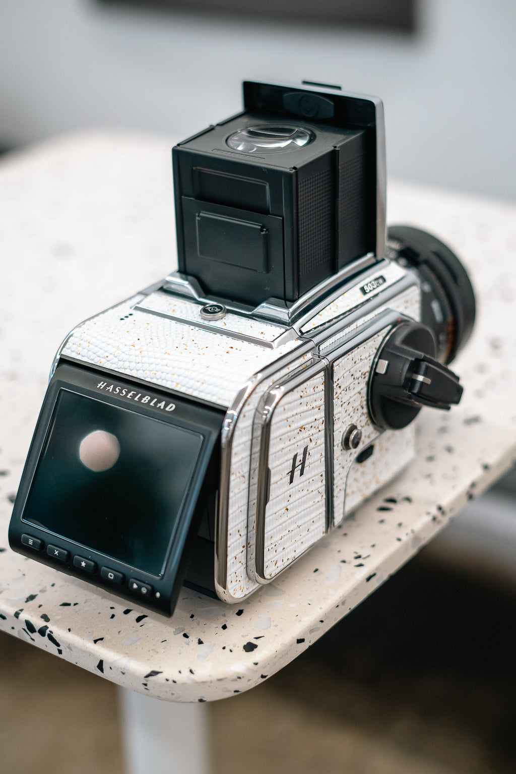 503CW Leather art replacement with gold sprinkled lizard skin material/White