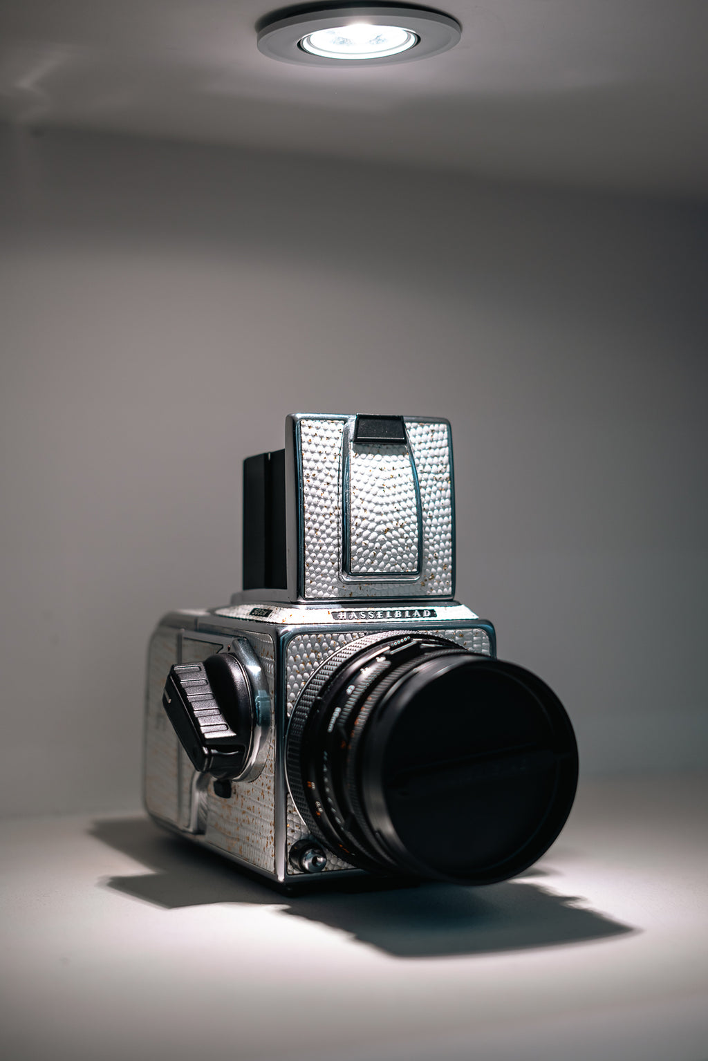 503CW Leather art replacement with gold sprinkled lizard skin material/White