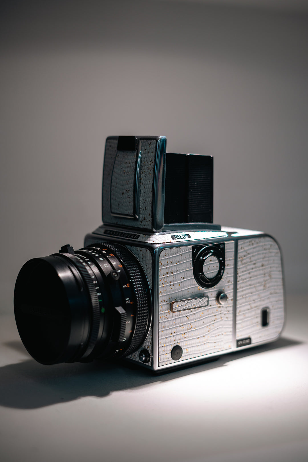 503CW Leather art replacement with gold sprinkled lizard skin material/White