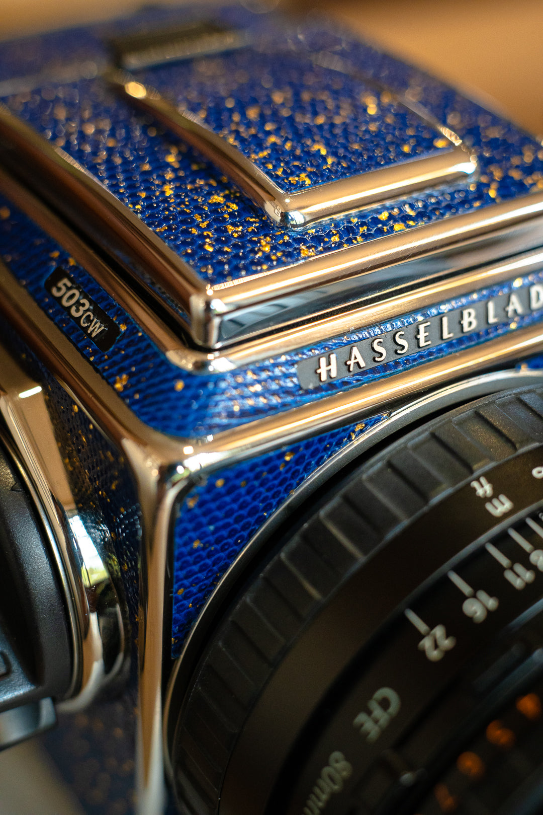 503CW Leather art replacement with gold sprinkled lizard skin material/Blue