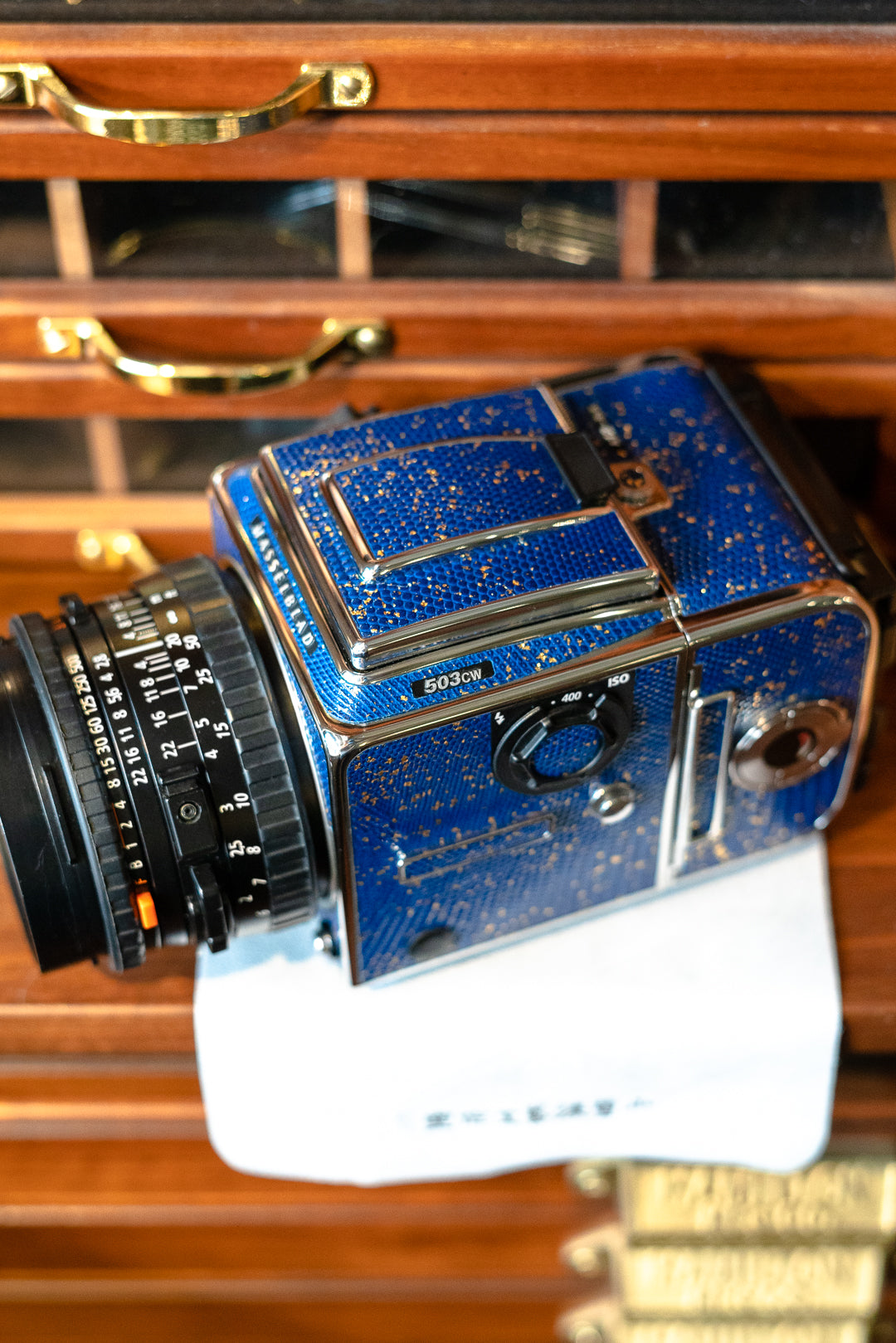 503CW Leather art replacement with gold sprinkled lizard skin material/Blue