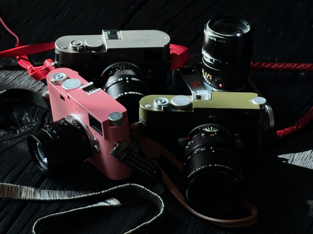 Pink Repaint/Safari Repaint