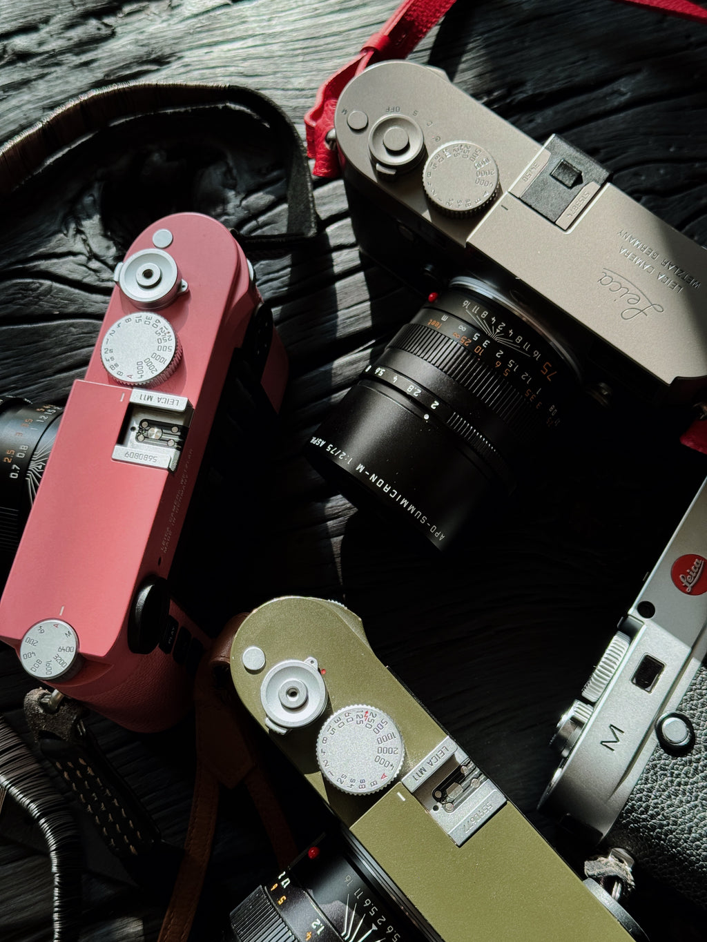 Pink Repaint/Safari Repaint