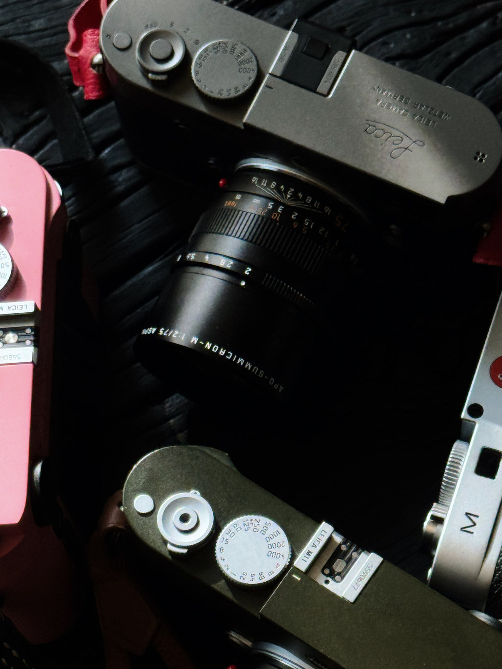 Pink Repaint/Safari Repaint