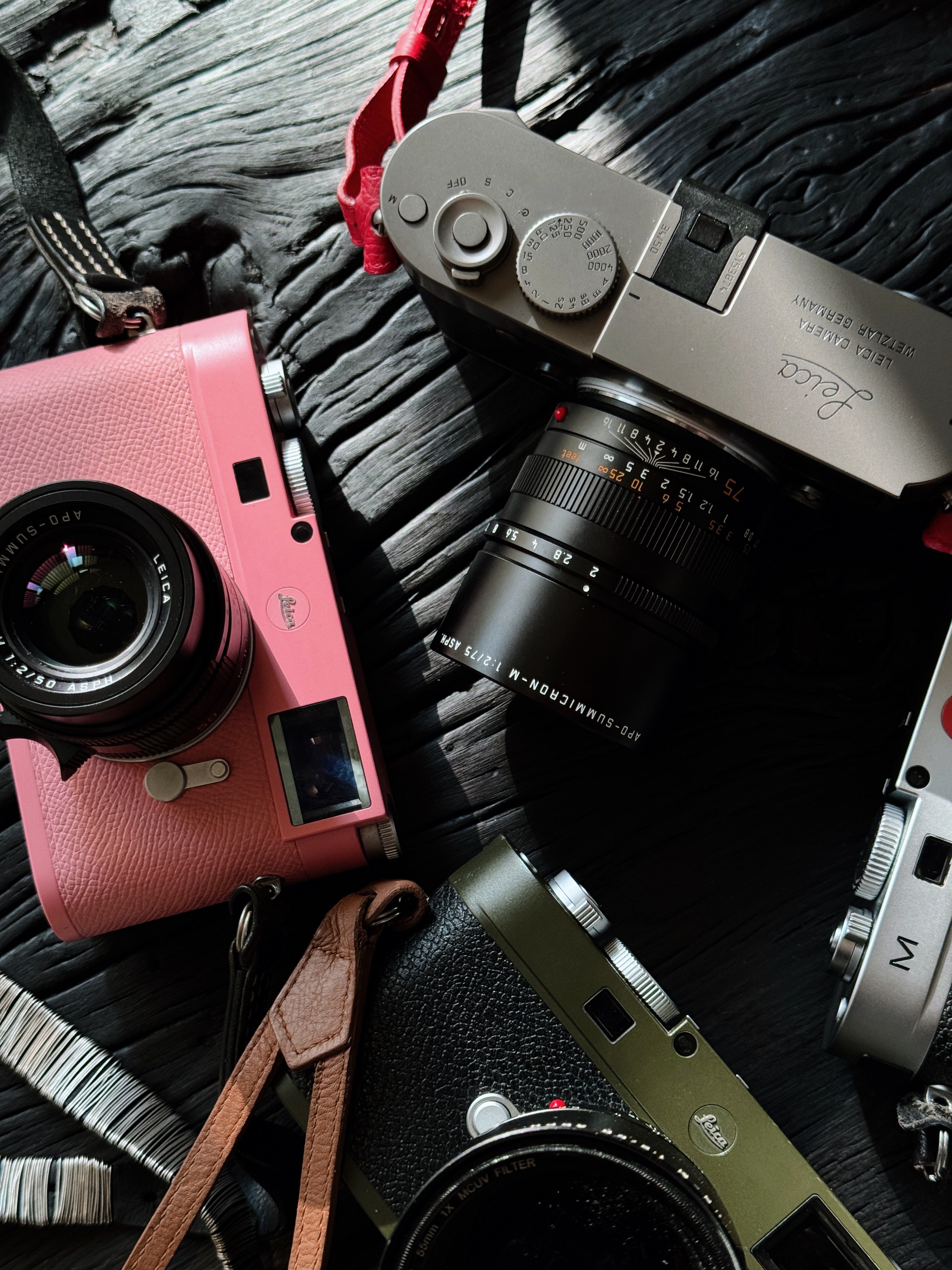 Pink Repaint/Safari Repaint