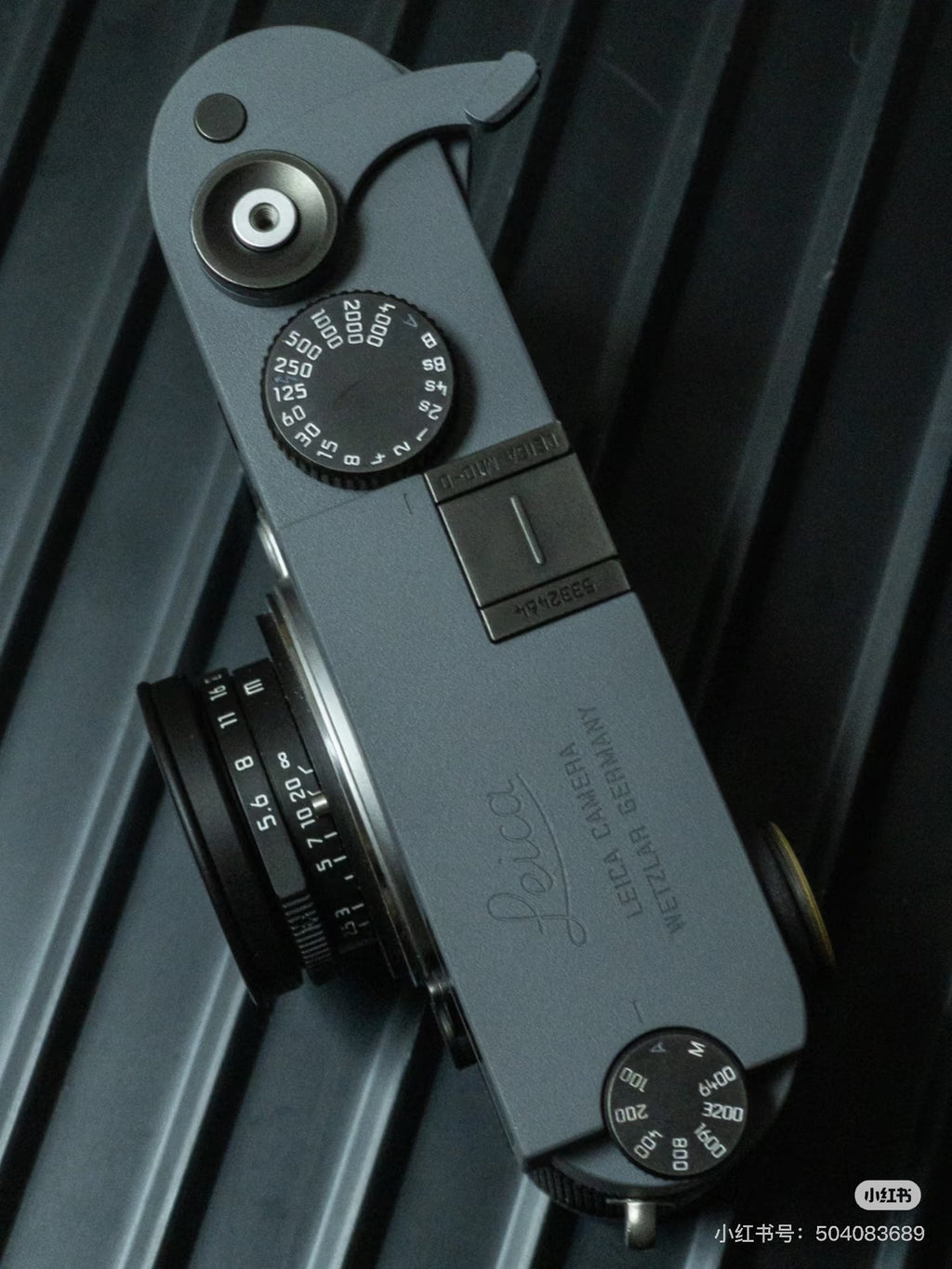 M10-D Reporter Repaint