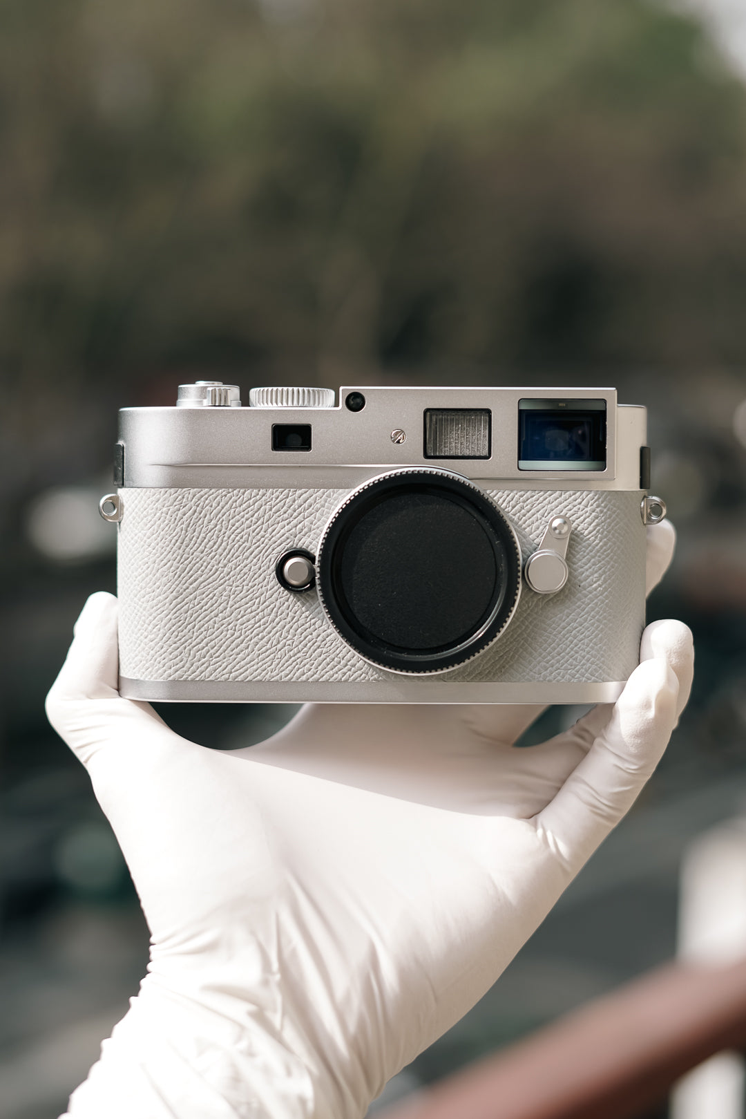 MP French imported palm print cowhide/gray