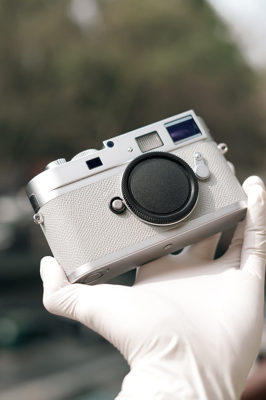 MP French imported palm print cowhide/gray