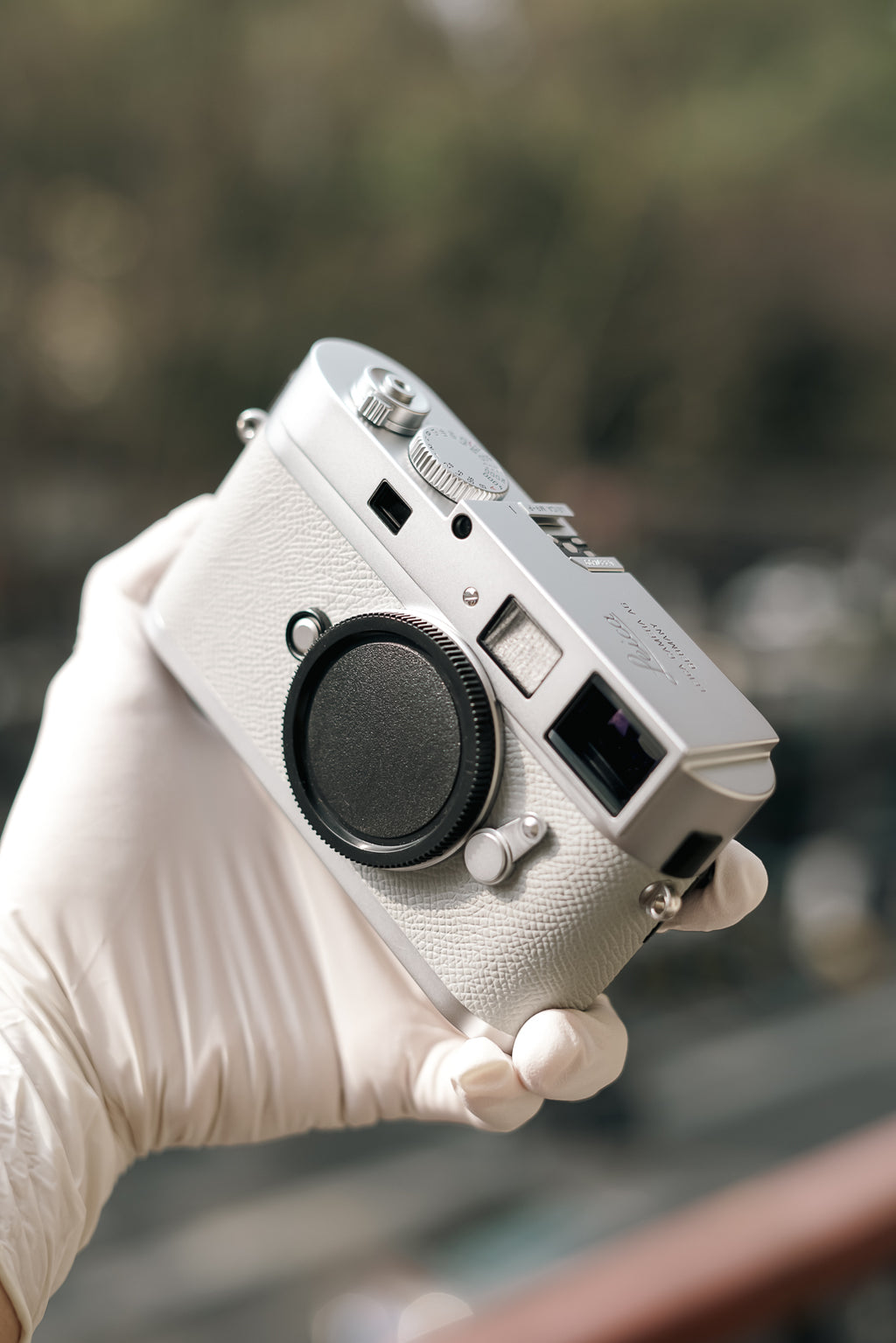 MP French imported palm print cowhide/gray