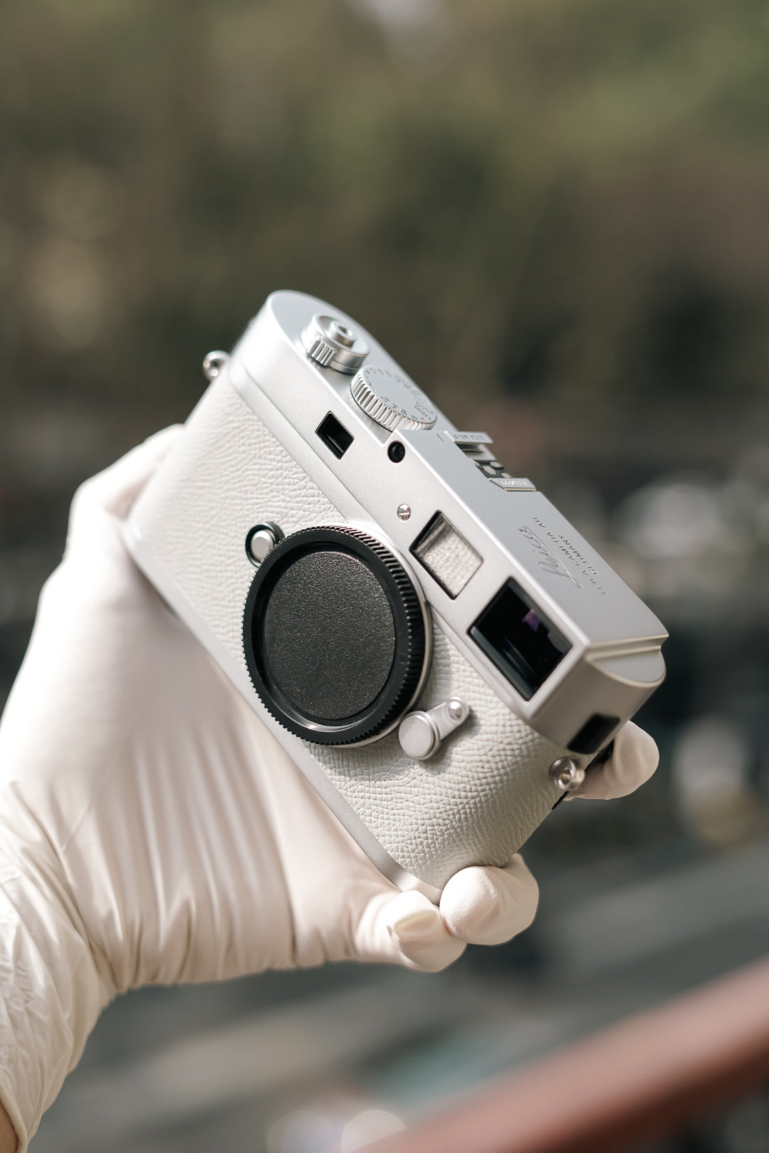 MP French imported palm print cowhide/gray