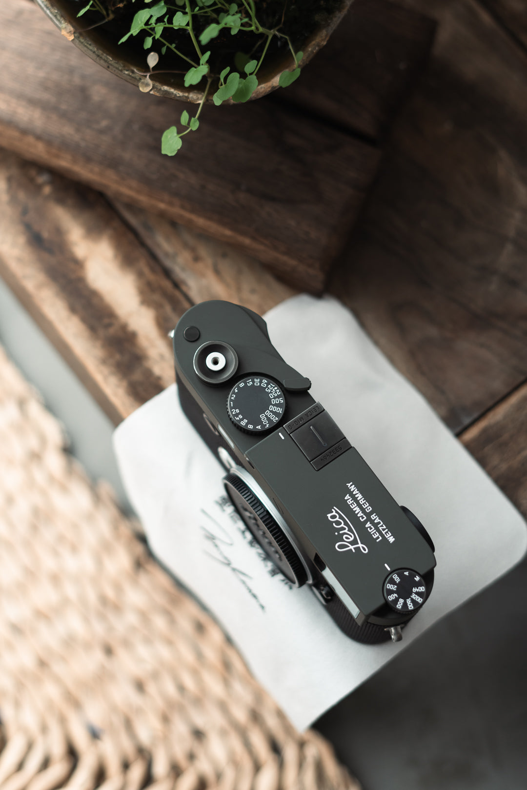 M10-D Reporter Repaint