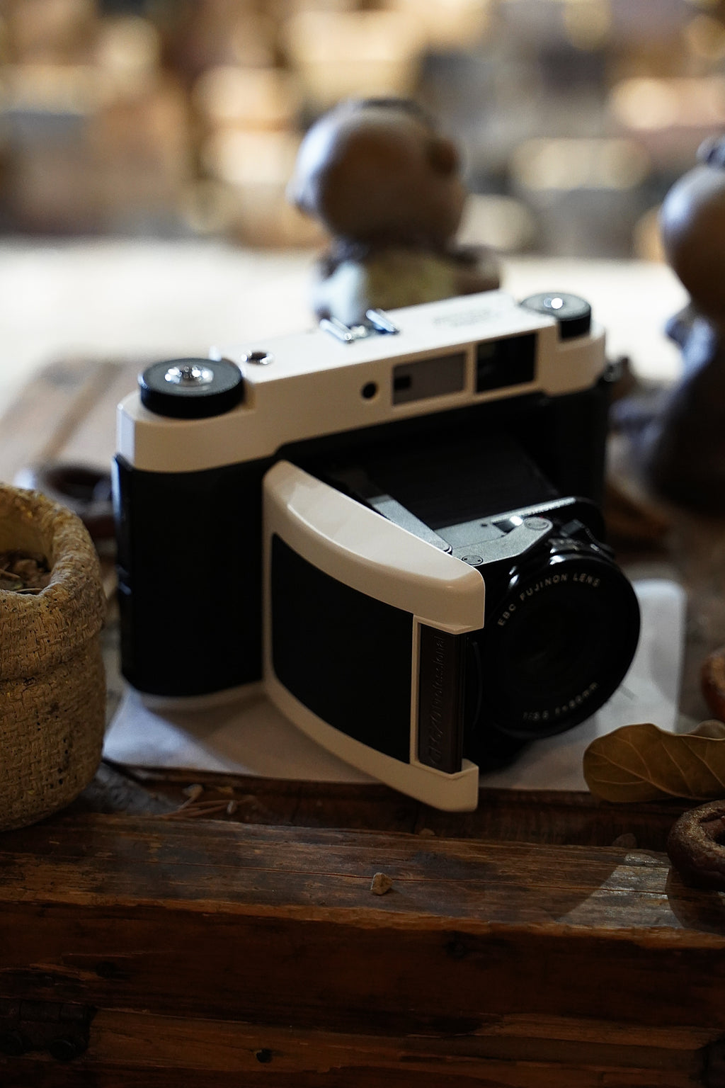 GF670 Panda color scheme / Black and white Repaint