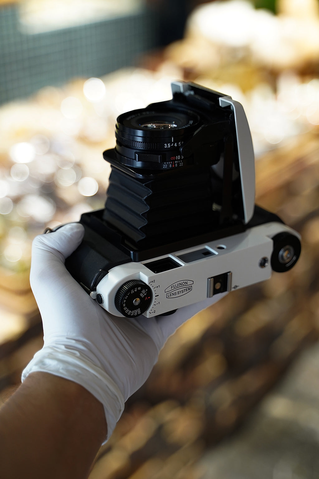 GF670 Panda color scheme / Black and white Repaint