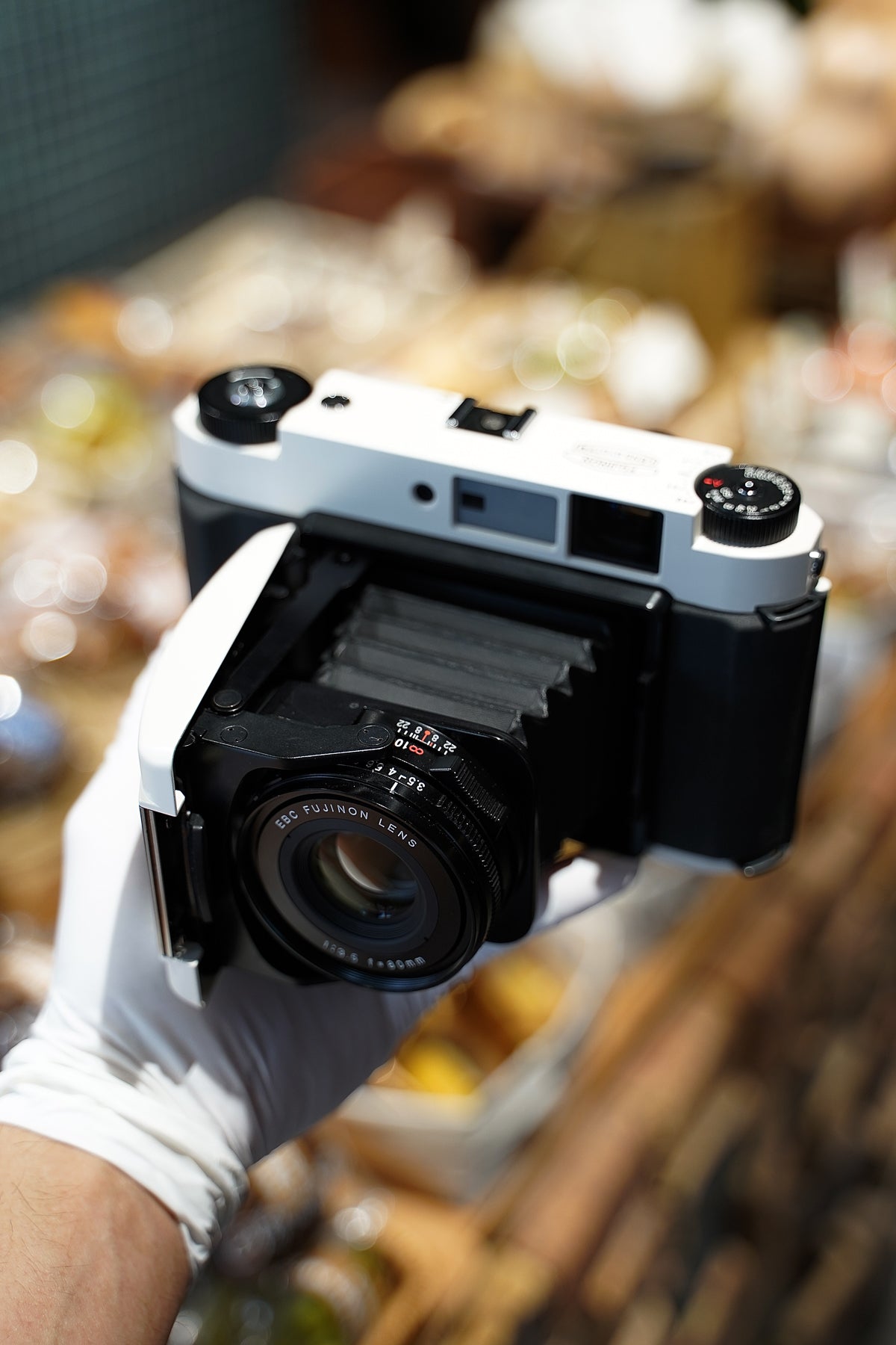 GF670 Panda color scheme / Black and white Repaint