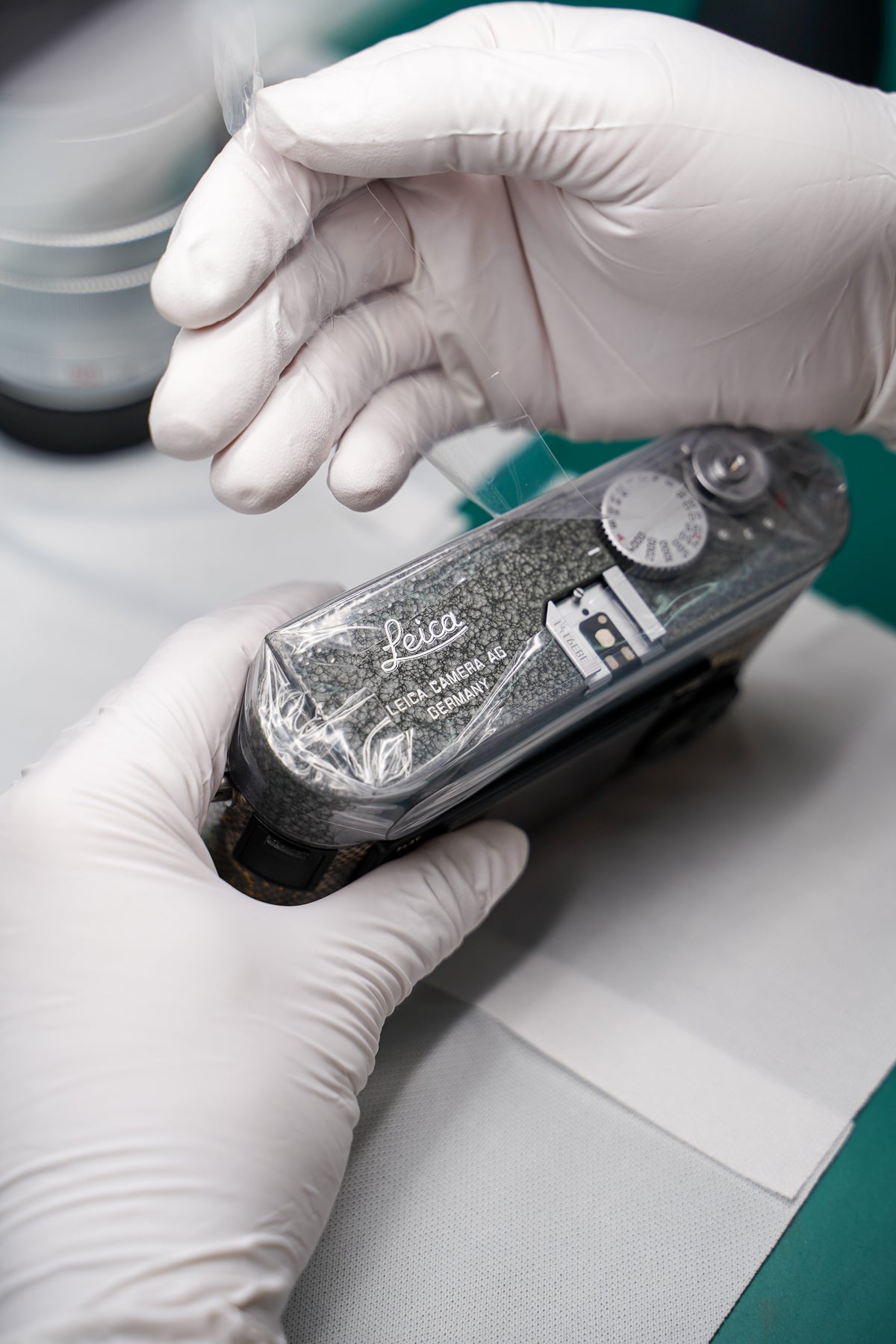 M9 Hammer Tone Repaint/Golden Himalayan Lizard Skin