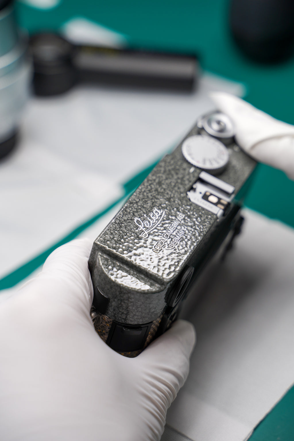 M9 Hammer Tone Repaint/Golden Himalayan Lizard Skin