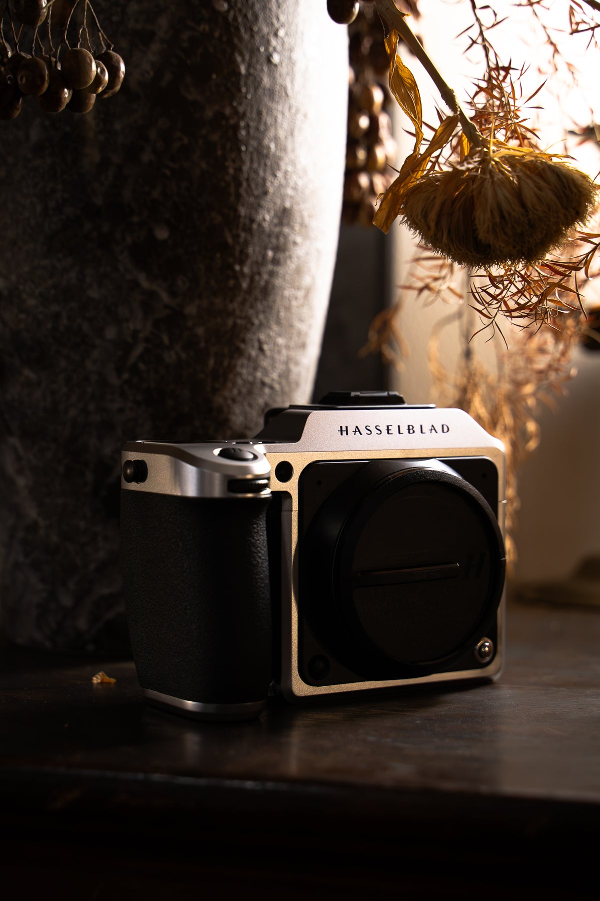 HASSELBLAD X2D Imitation electroplating coating lacquer/silver