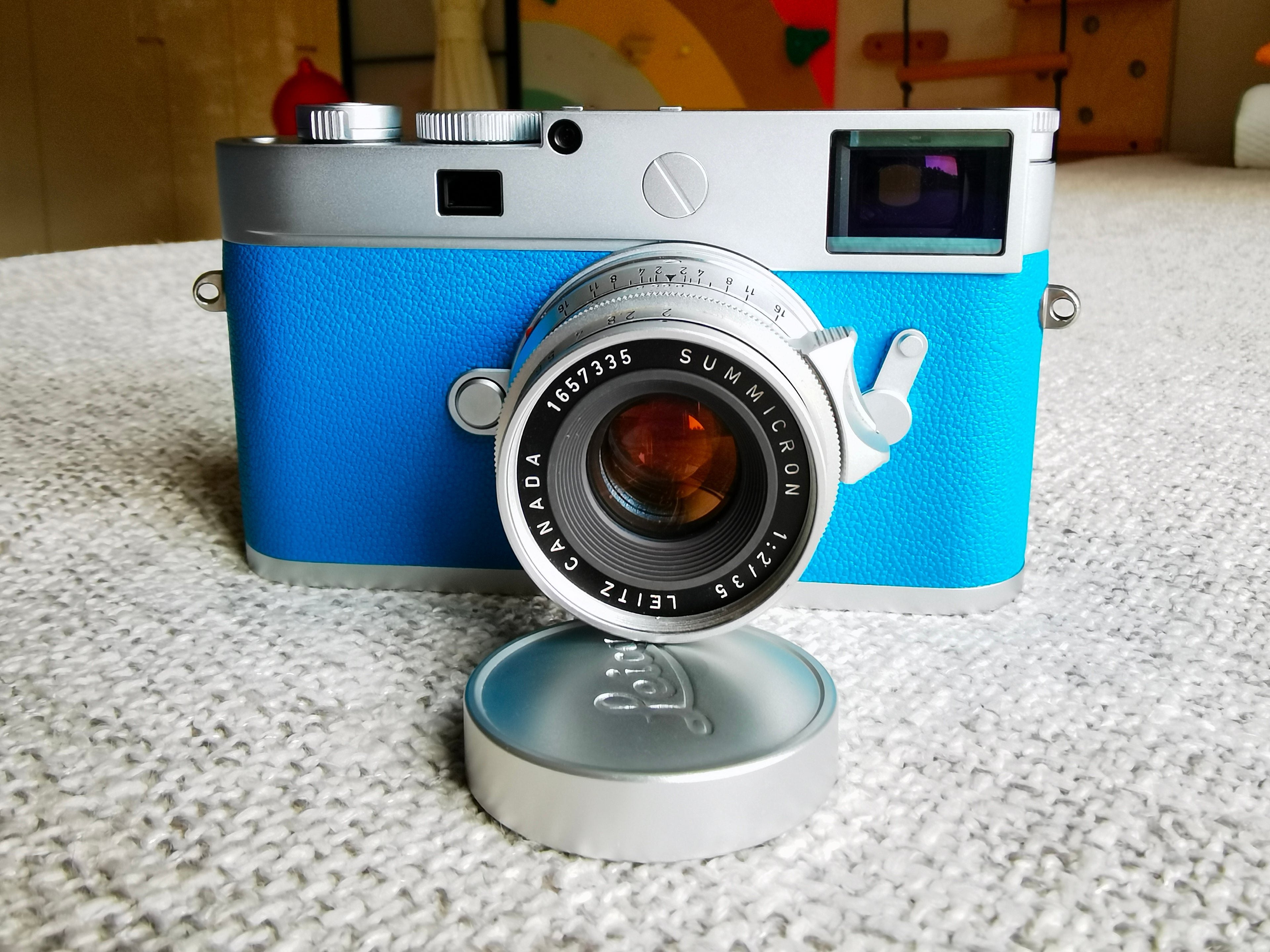 Blue French Sheepskin