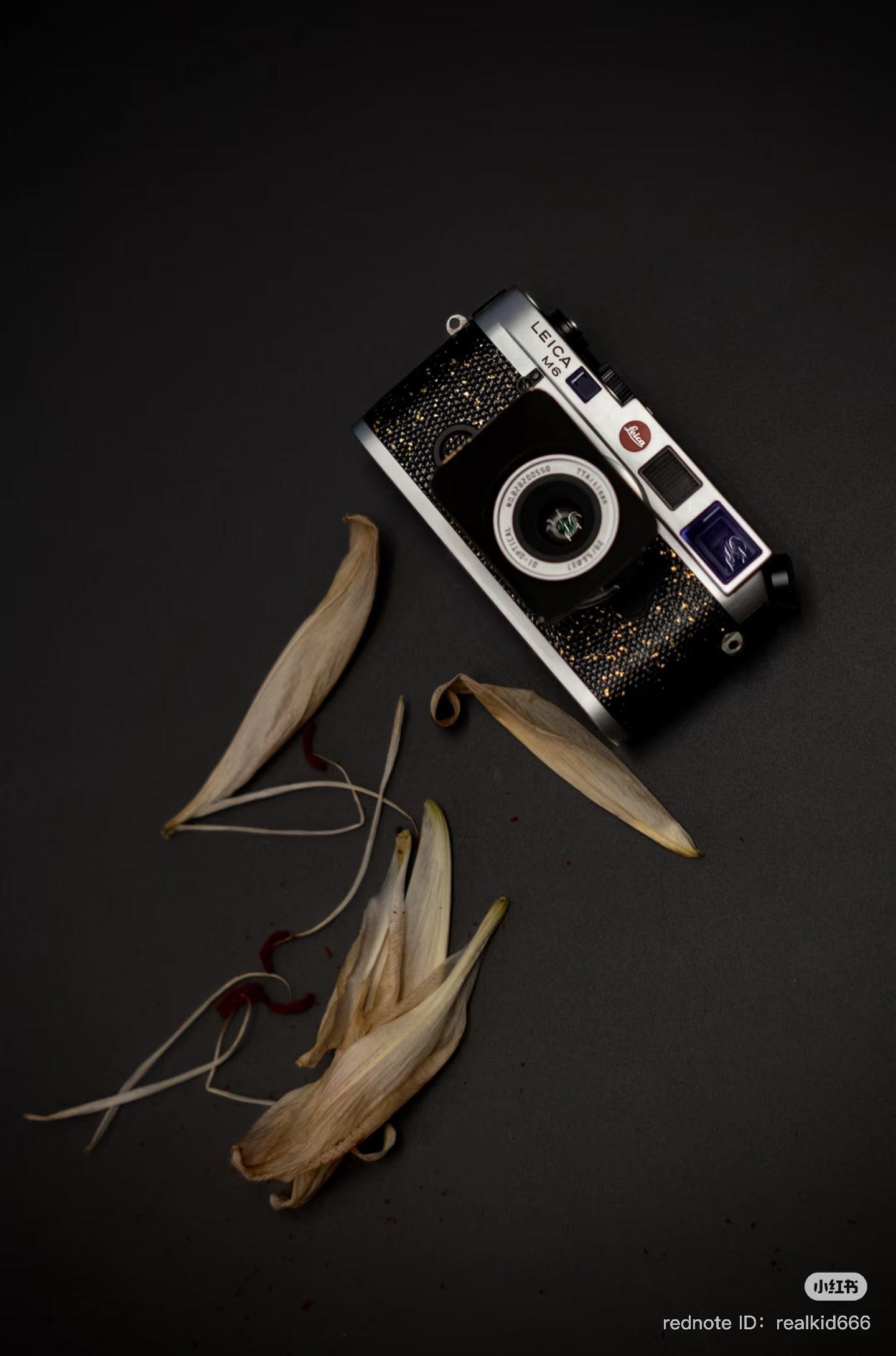 M6 Leather art replacement with gold sprinkled lizard skin material/black