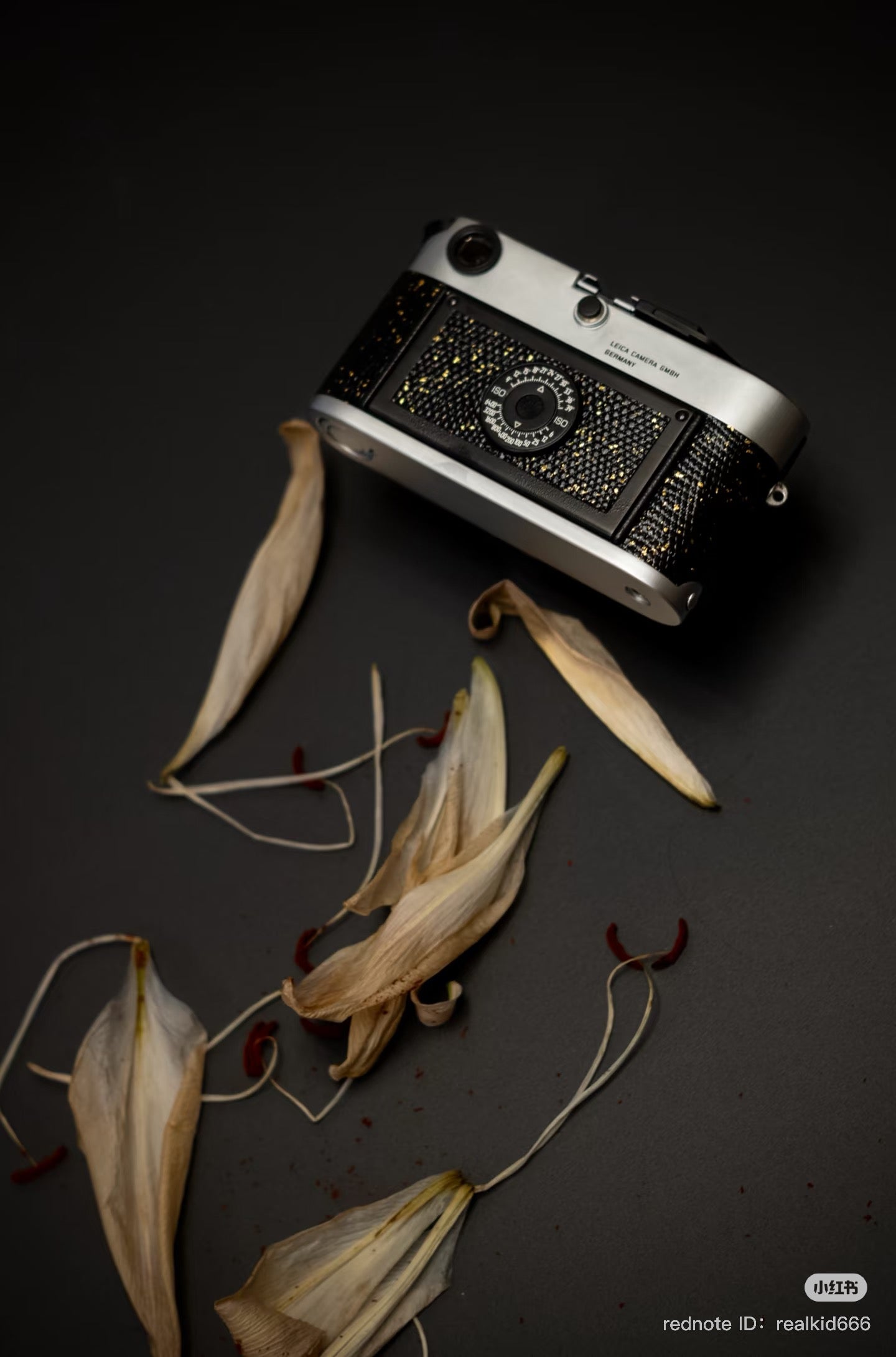 M6 Leather art replacement with gold sprinkled lizard skin material/black