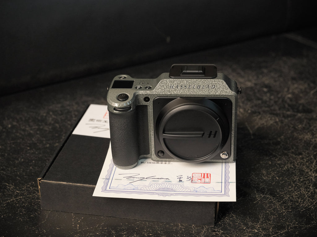 X2D Hammer Tone Repaint